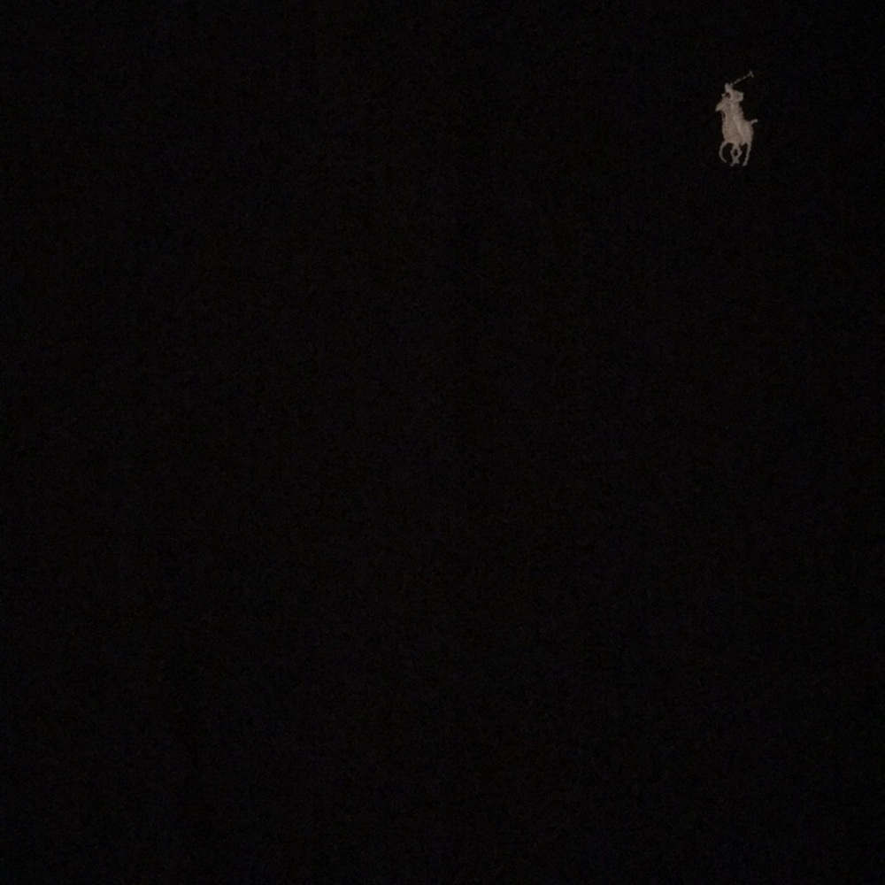 Polo Ralph Lauren collared shirt